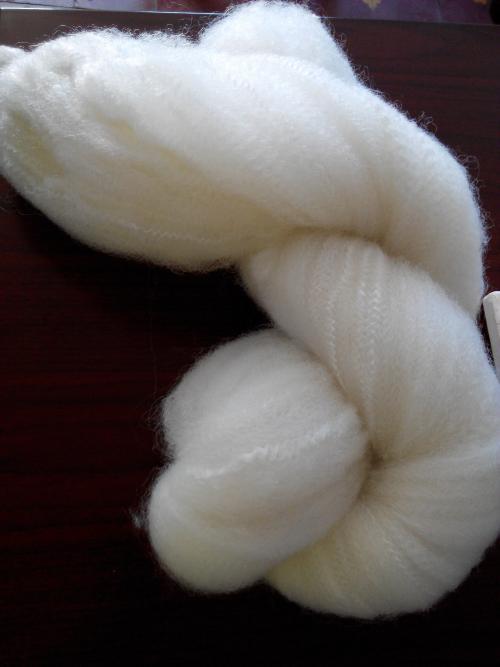 ˮ̎���w�S���V�����a�S��