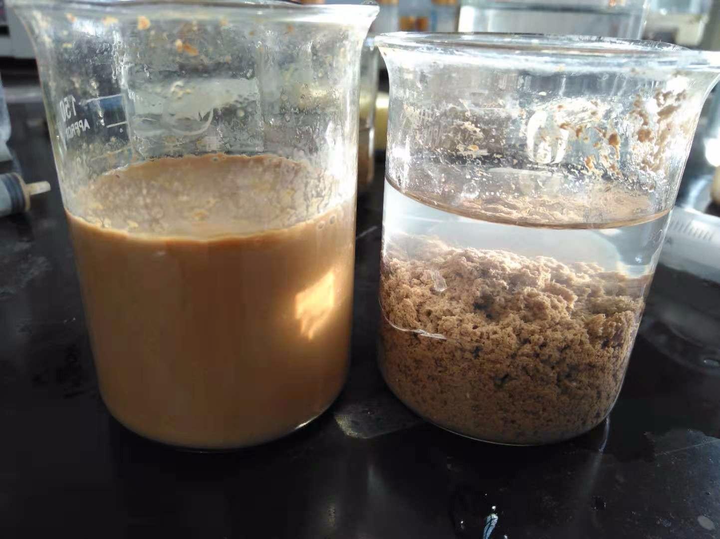 <a href='http://m.zjbaoji.com/jsyj/992.html' target='_blank'><u>非離子聚丙烯酰胺生產廠家</u></a>