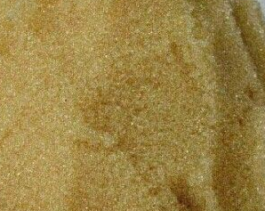 ��֬�V�����a(ch��n)�S�ҹ�������x�Ә�֬�V�ϡ���x�Ә�֬�V��