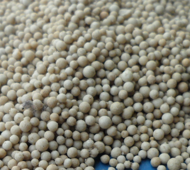 ϡ����ɰ<a href='http://m.zjbaoji.com/jsll/' target='_blank'><u>�V�����a�S��</u></a>