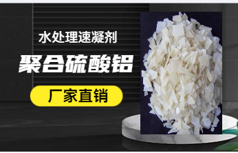 �̑B�ۺ������X